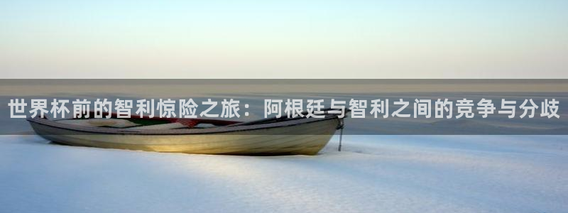 2026世预赛赛程表：世界杯前的智利惊险之旅：阿根廷与智利之间的竞争与分歧