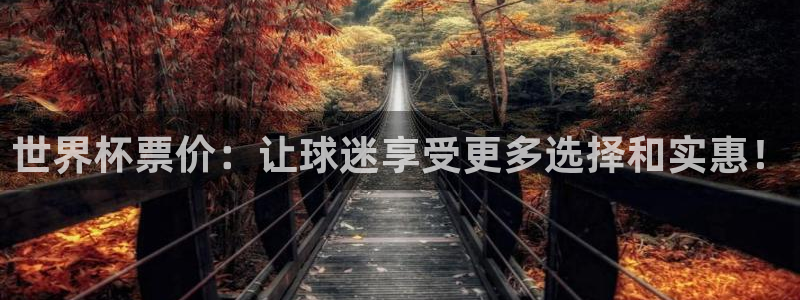 世界杯欧洲预选赛：世界杯票价：让球迷享受更多选择和实惠！