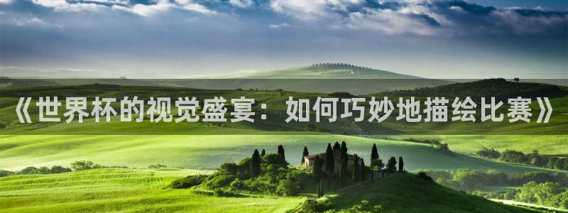 2026世界杯南美区积分榜：《世界杯的视觉盛宴：如何巧妙地描绘比赛》
