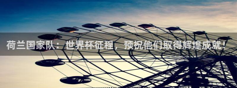 世界杯 直播：荷兰国家队：世界杯征程，预祝他们取得辉煌成就！