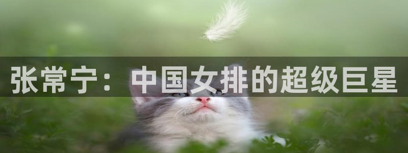 预选赛世界杯：张常宁：中国女排的超级巨星