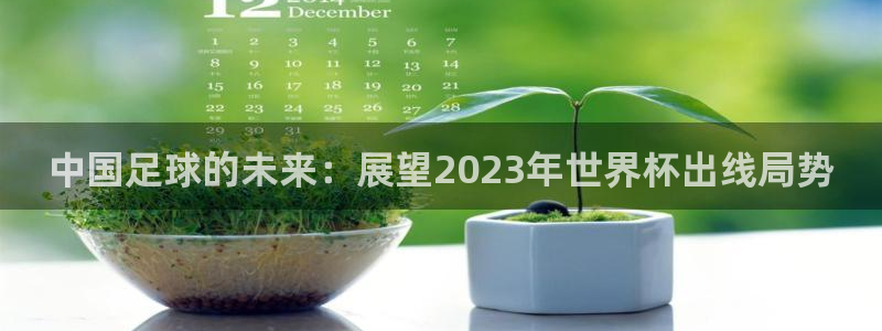 中国 世界杯：中国足球的未来：展望2023年世界杯出线局势