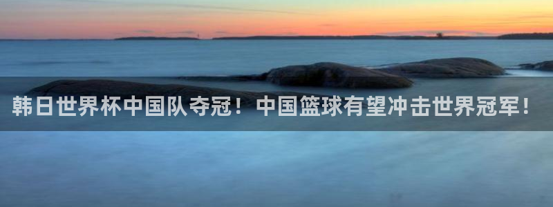 世界杯比赛：韩日世界杯中国队夺冠！中国篮球有望冲击世界冠军！