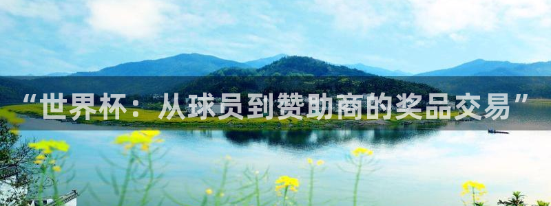 世界杯在线直播：“世界杯：从球员到赞助商的奖品交易”