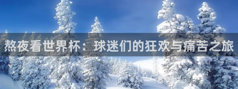 世界杯小组赛赛程：熬夜看世界杯：球迷们的狂欢与痛苦之旅