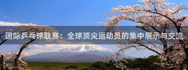 足球世预赛：国际乒乓球联赛：全球顶尖运动员的集中展示与交流