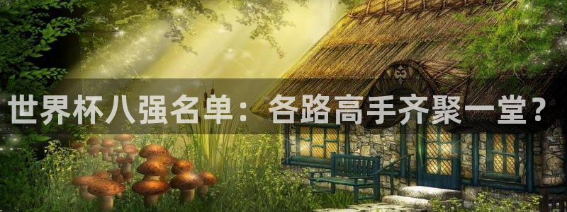 世界杯赛程表2026：世界杯八强名单：各路高手齐聚一堂？