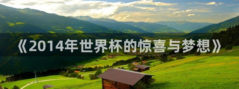 世界杯球队排名：《2014年世界杯的惊喜与梦想》