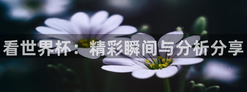 世界杯预选赛赛程表：看世界杯：精彩瞬间与分析分享