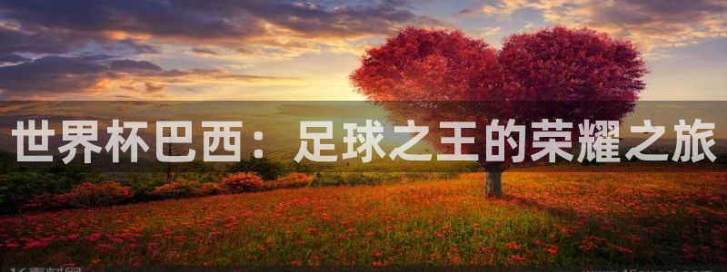 2026年世界杯赛程时间表格：世界杯巴西：足球之王的荣耀之旅