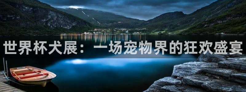 世界杯比赛：世界杯犬展：一场宠物界的狂欢盛宴