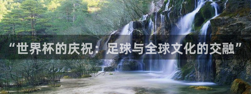世界杯足球赛2026：“世界杯的庆祝：足球与全球文化的交融”