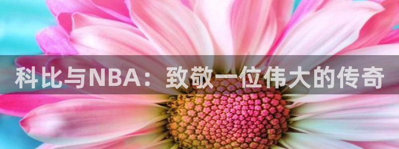 联赛杯直播：科比与NBA：致敬一位伟大的传奇
